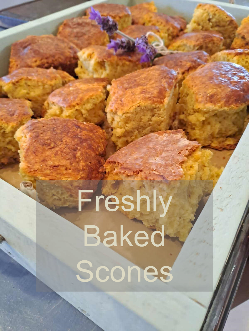 Freshly Baked Scones by Nerina Pantry